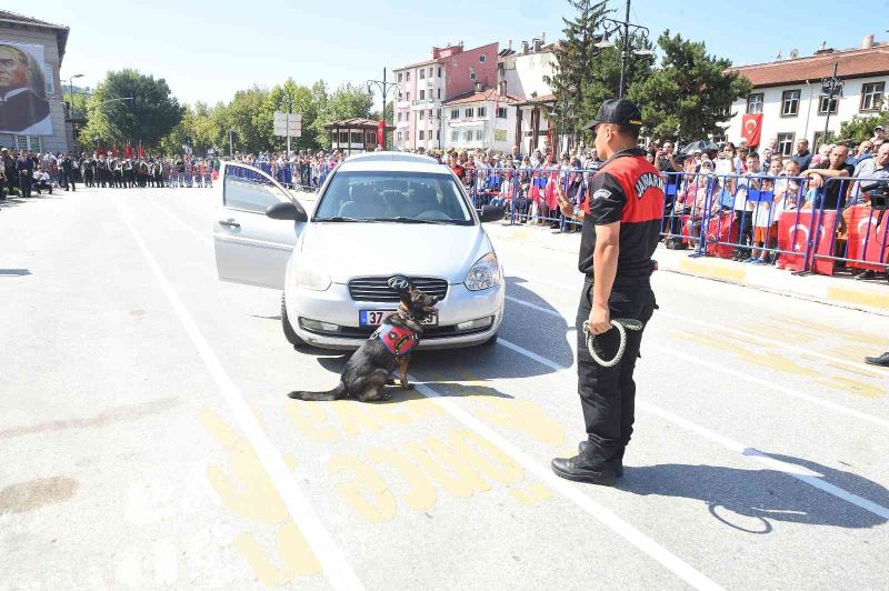 Jandarmanın eğitimli köpekleri 