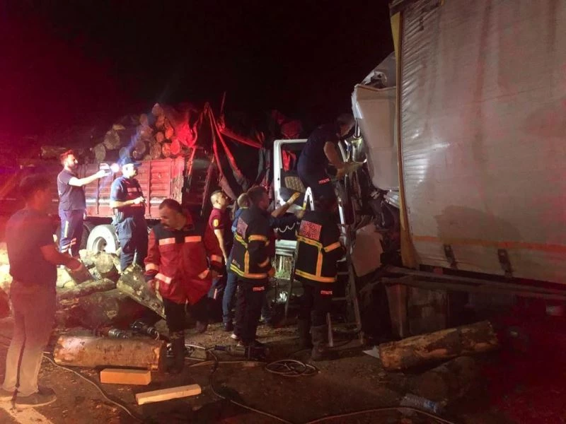 Tomruk yüklü kamyona çarpan tırın sürücüsü öldü
