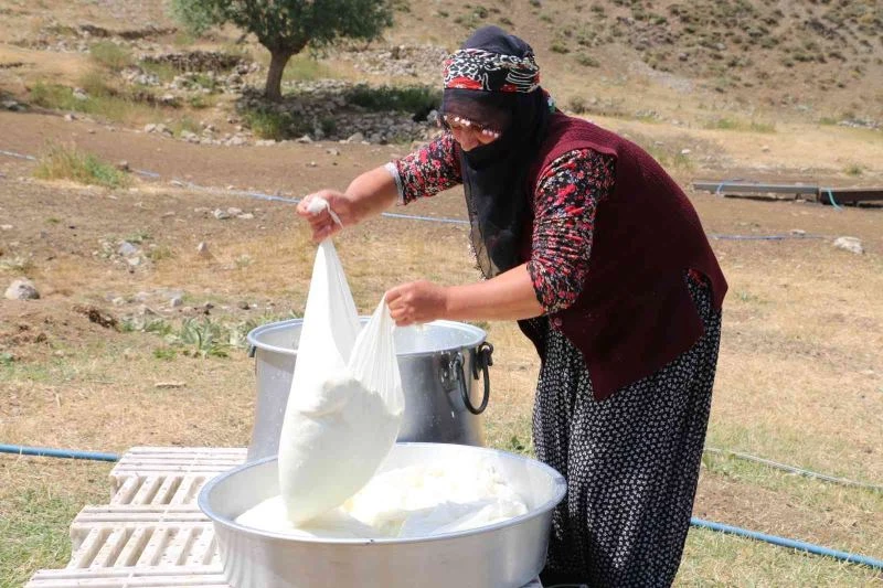 Kahvaltı sofralarına 3 bin rakımdan gelen lezzet: Erzincan tulum peyniri
