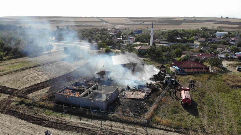 Edirne’de çiftlikte yangın: Can pazarı yaşandı, hayvanlar telef oldu
