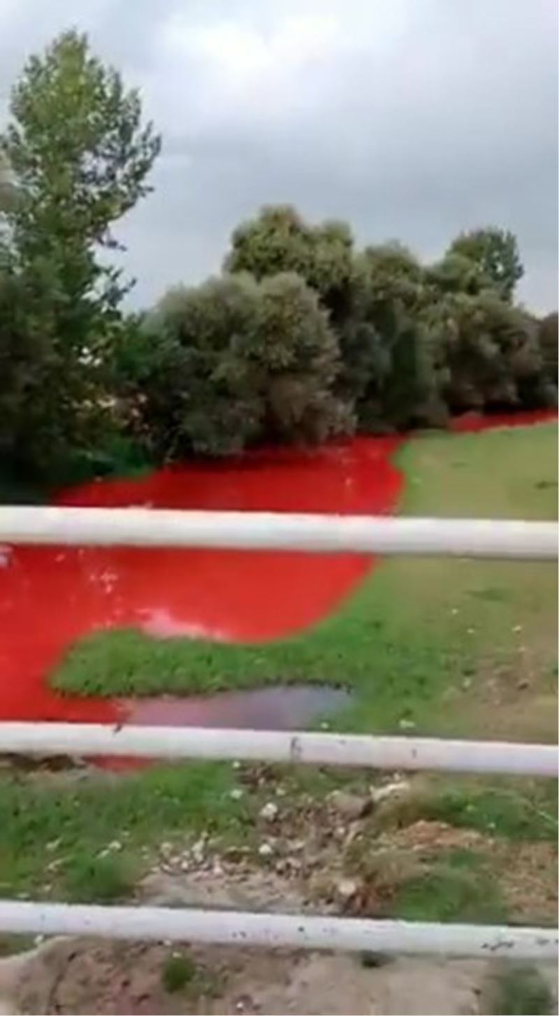 Tarım ilacı karışan derenin rengi kırmızıya döndü
