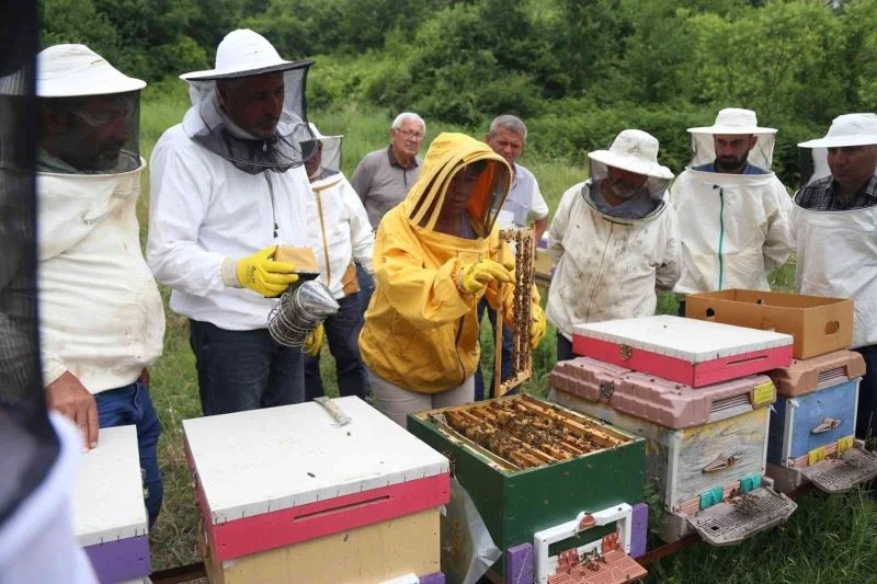Emekli olduktan sonra huzuru arılarda buldu
