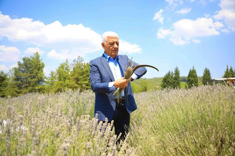 Büyükşehir hem üretiyor, hem işliyor
