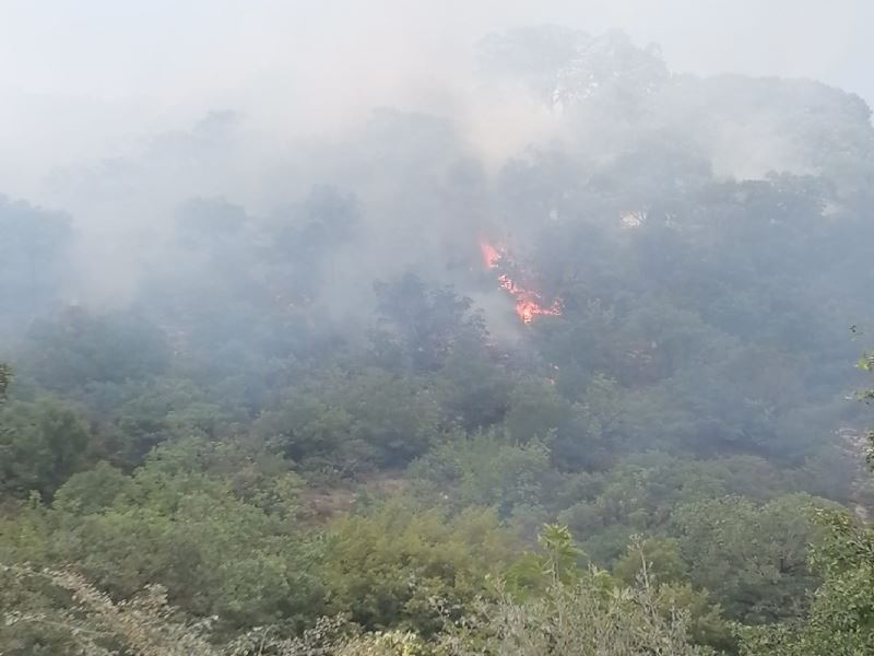 Balıkesir’deki orman yangınına anında müdahale
