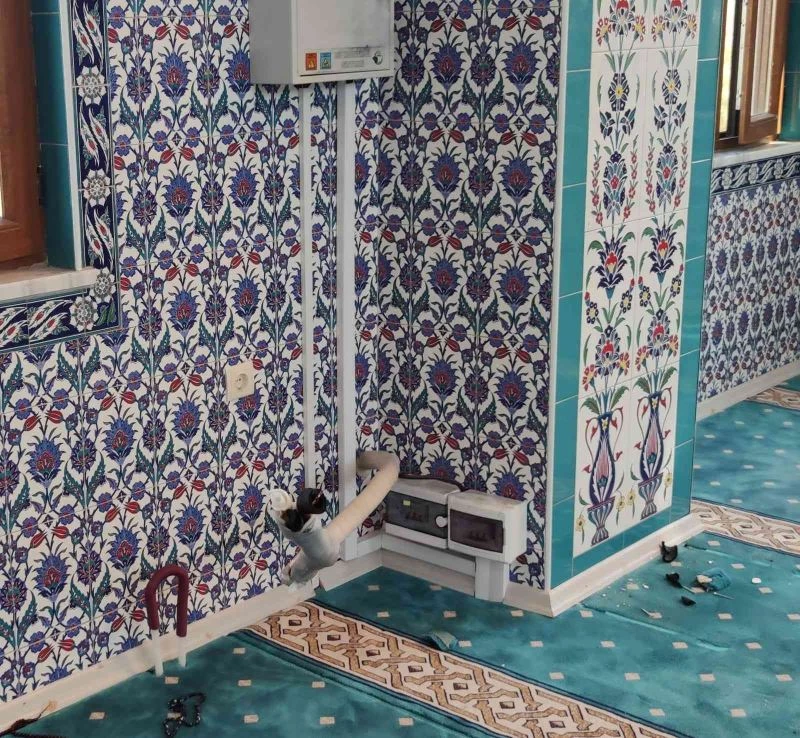 Elazığ’da hırsızlar gece camiye girdi
