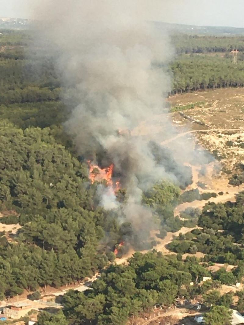 İzmir’de orman yangını
