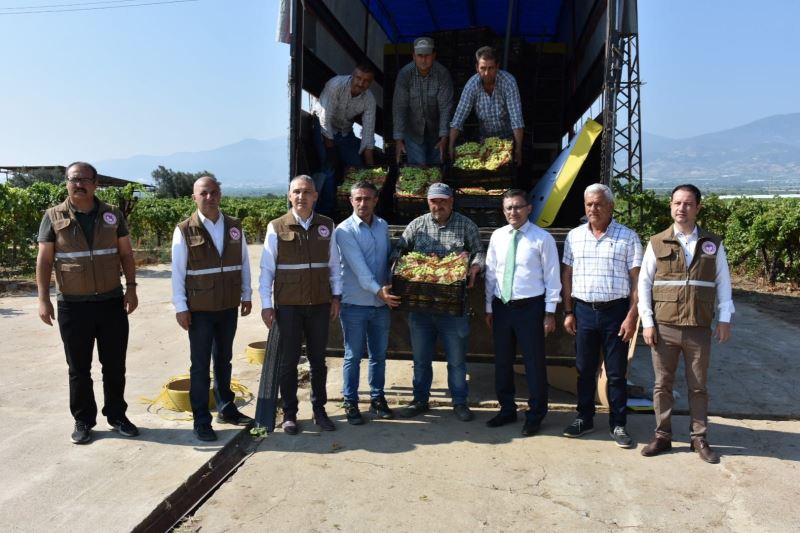 Manisa’nın çekirdeksiz Sultaniye üzümünün dünya yolculuğu başladı
