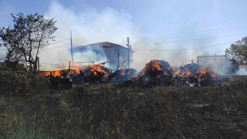 Bebek gibi büyüttüğü 40 koyunu telef olan çiftçi gözyaşlarına boğuldu
