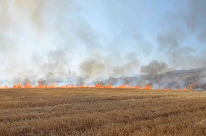 Siirt’te çiftçilere ve piknikçilere anız uyarısı
