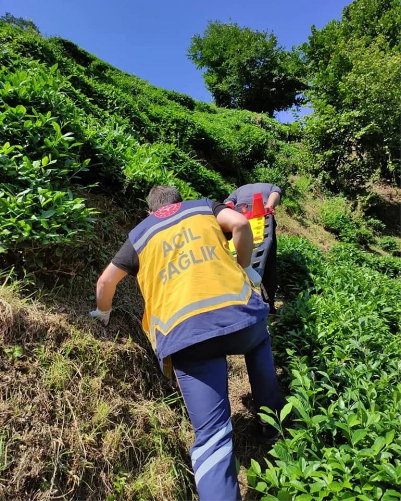 Yamaçtaki çay bahçesinden yuvarlandı, sedye ile 400 metre taşınarak hastaneye kaldırıldı
