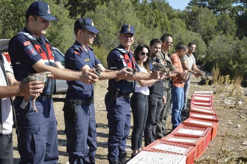 Doğaya 520 kınalı keklik salındı
