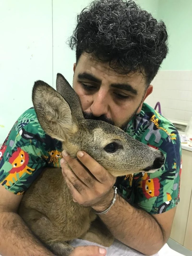 Parçalanan arka bacağı kesilerek hayatı kurtarıldı
