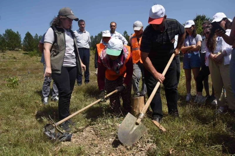 “İklimin Geleceği: Geleceğin İklimi” proje ekibi fidan dikti
