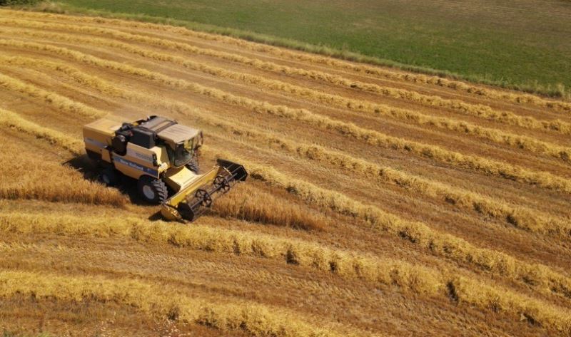 Bayburt’ta TMO’nun buğday ve arpa alım primi desteğinden yararlanma süresi uzatıldı
