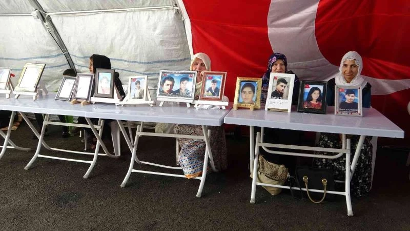 Evlat hasreti çeken anne Küçükdağ: 