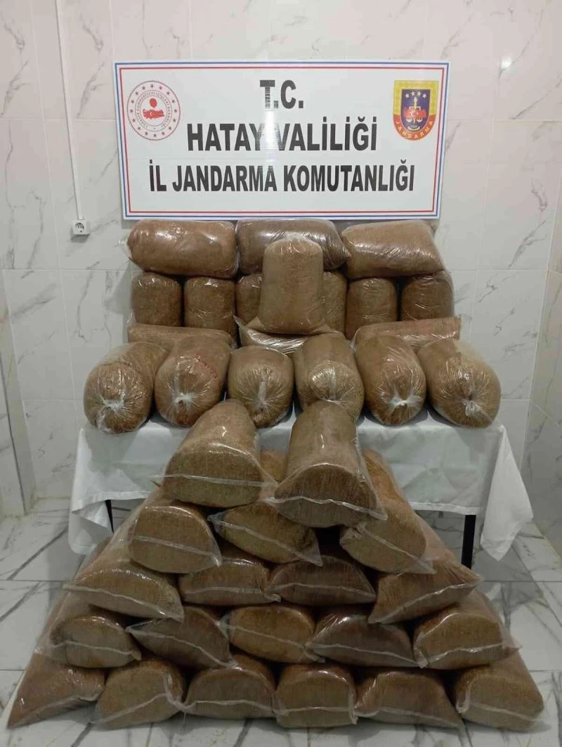Hassa’da 245 kilo kaçak tütün ele geçirildi
