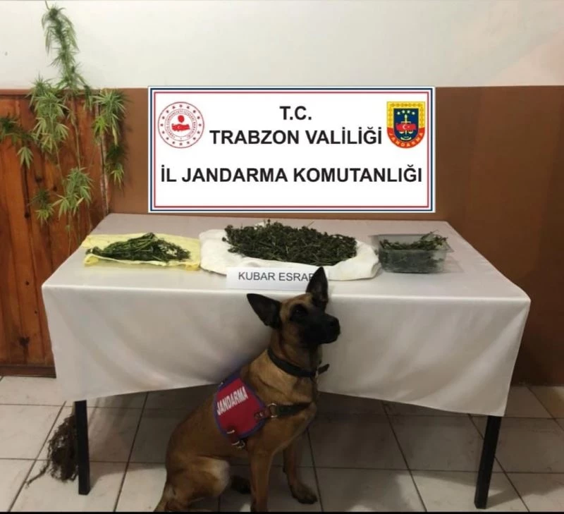 Sobaya saklanan uyuşturucuyu ‘Yatkın’ buldu
