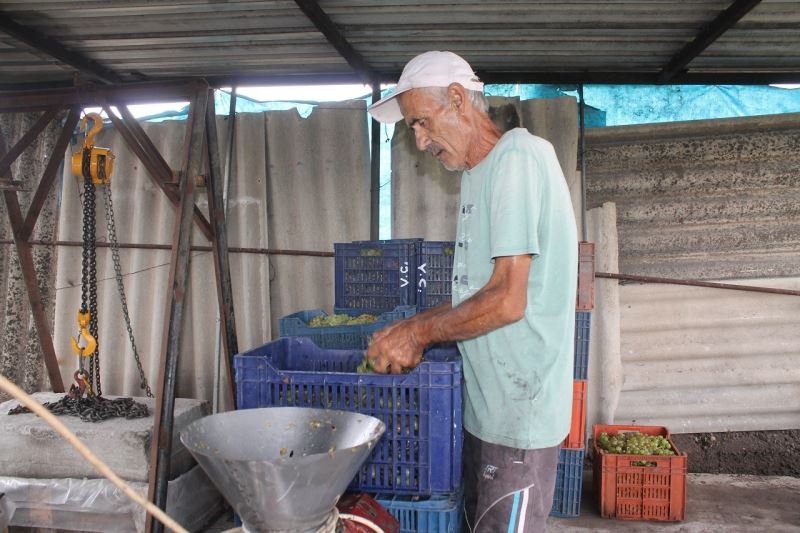 Fransa’da gördü, Manyas’ta uyguladı
