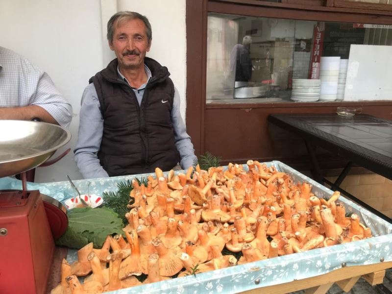 Kanlıca mantarı kilosu 100 TL’den pazardaki yerini aldı
