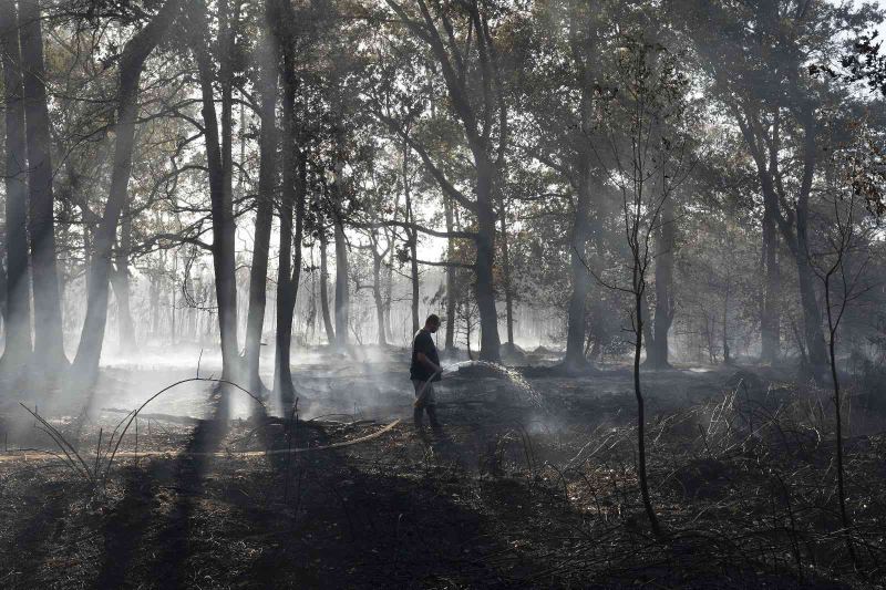 Fransa’da 3 bin 600 hektar ormanlık alan küle döndü
