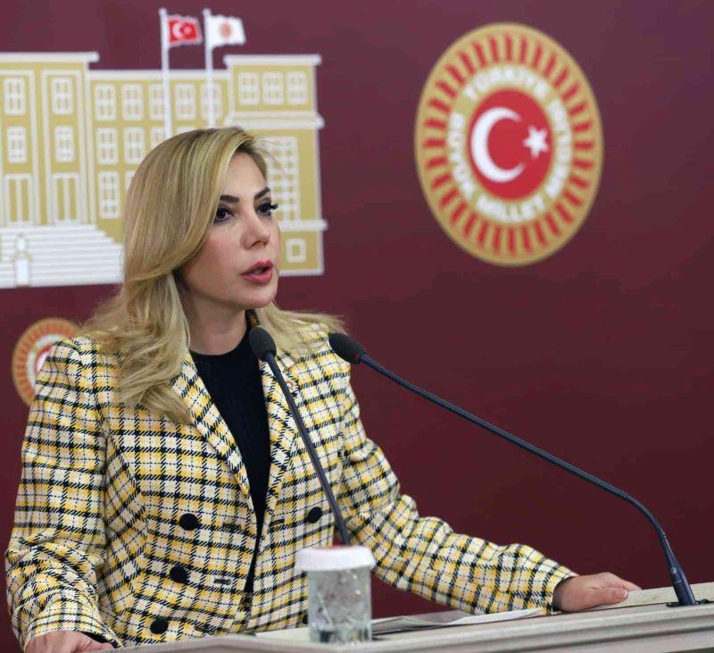AK Parti Milletvekili Gökcan: “Sosyal devlet olmanın gereğini yapıyoruz”

