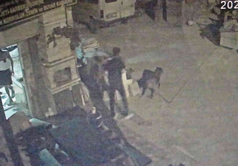Antalya’da akıl almaz olay, tartıştığı arkadaşına sinirlenip aynı ismi taşıyan köpeği vurdu
