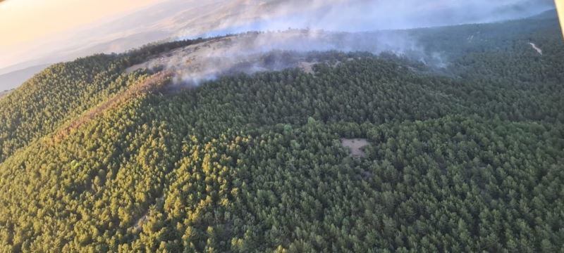 Eskişehir’deki yangında 10 hektarlık meşe ve karaçam ormanı zarar gördü
