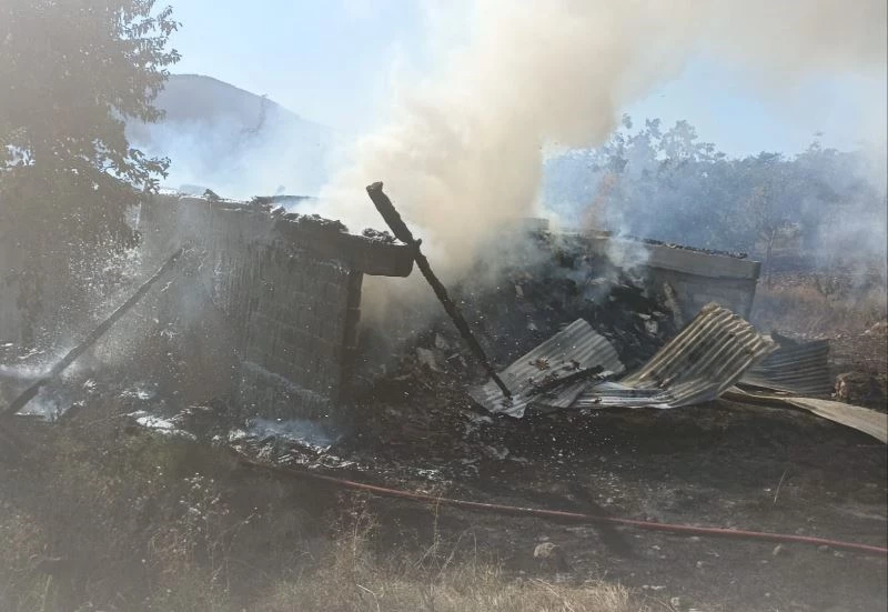 Samanlık yangında kül oldu
