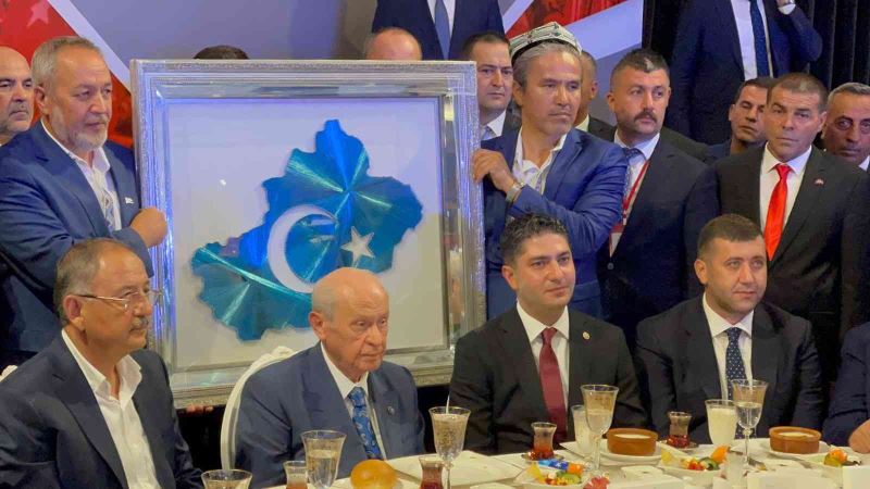 Devlet Bahçeli: 