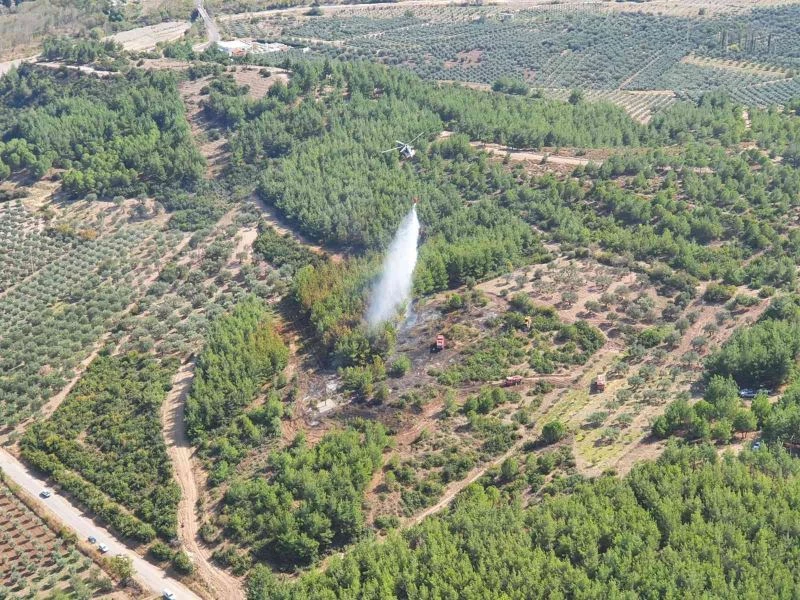 Akhisar’daki orman yangını kontrol altına alındı
