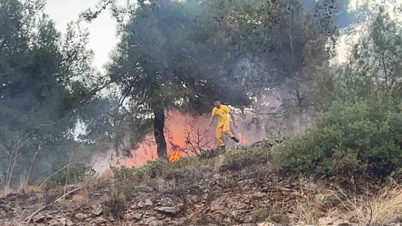 Hatay’da ormanlık alanda çıkan yangın evlere sıçramadan söndürüldü
