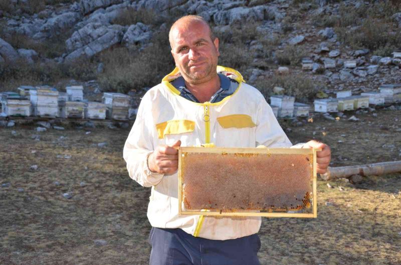 Siparişler kovandan çıkmadan alınıyor, kilogramı 300 TL’den satılıyor
