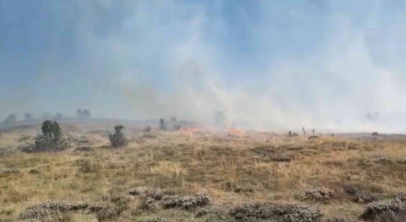 Giresun’da örtü yangını, ormana sıçramadan kontrol altına alındı
