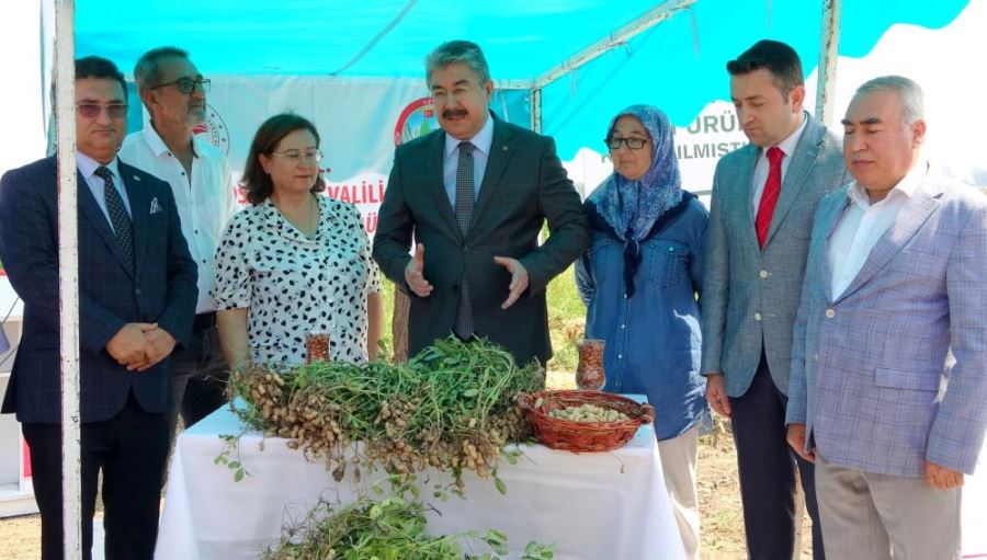 Hasat etkinliğine katılan Vali Erdinç Yılmaz, ceketini çıkararak traktörle fıstık hasadı yaptı