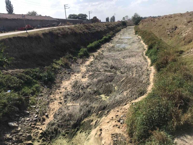 Kanal tabanındaki yosunlar tepki çekti
