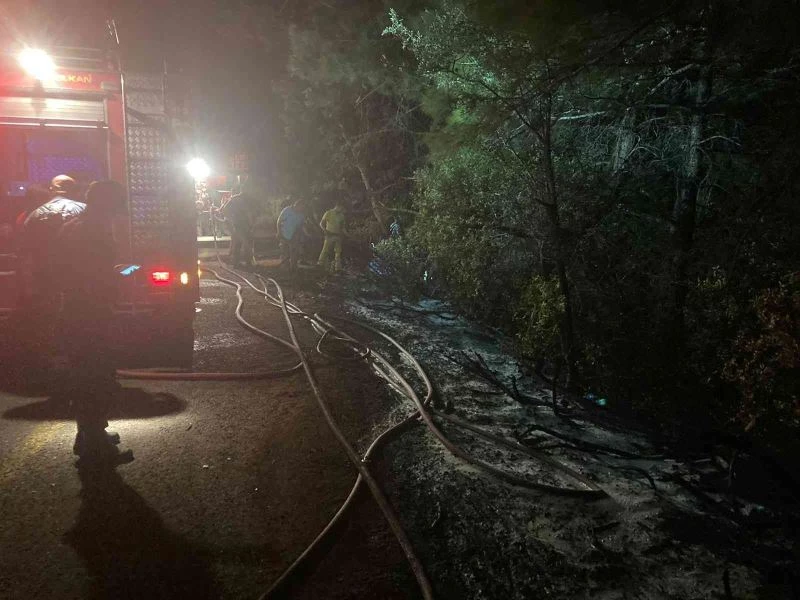 Milli Park’ta orman yangını çıktı, facia ucuz atlatıldı
