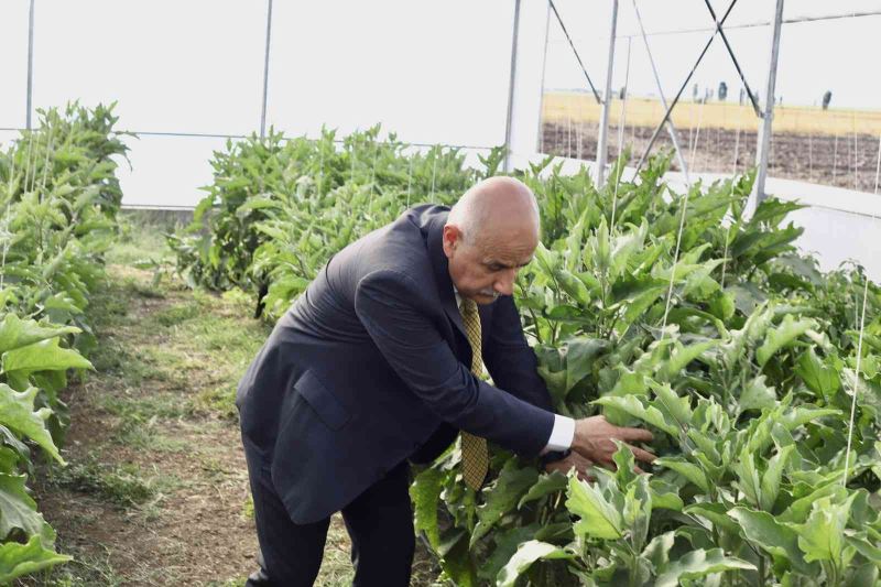 Bakan Kirişci: “Yılın ilk 8 ayında tarım ürünleri ihracatımız 21,5 milyar dolar”
