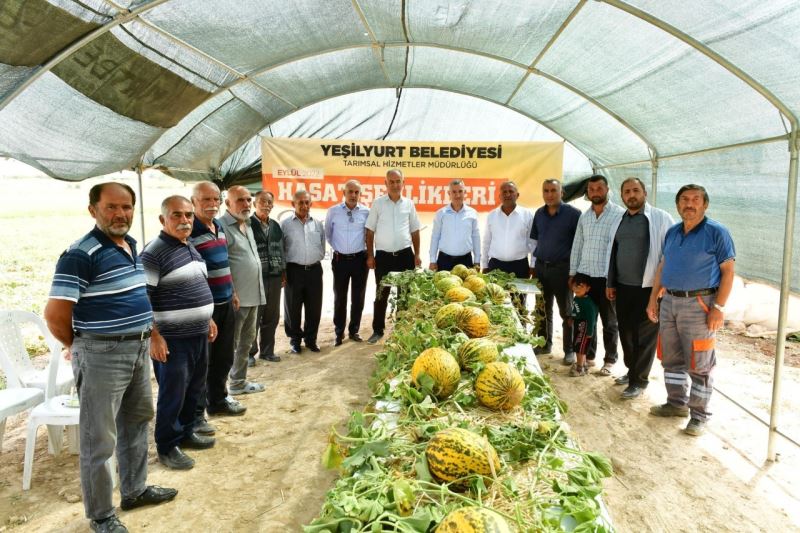 Başkan Çınar,  kavun hasadına katıldı
