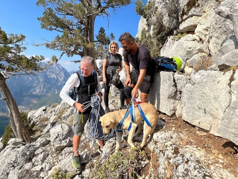 Sokak köpeğinin simit ve yumurta vefası dağcıları hem şaşırttı hem duygulandırdı
