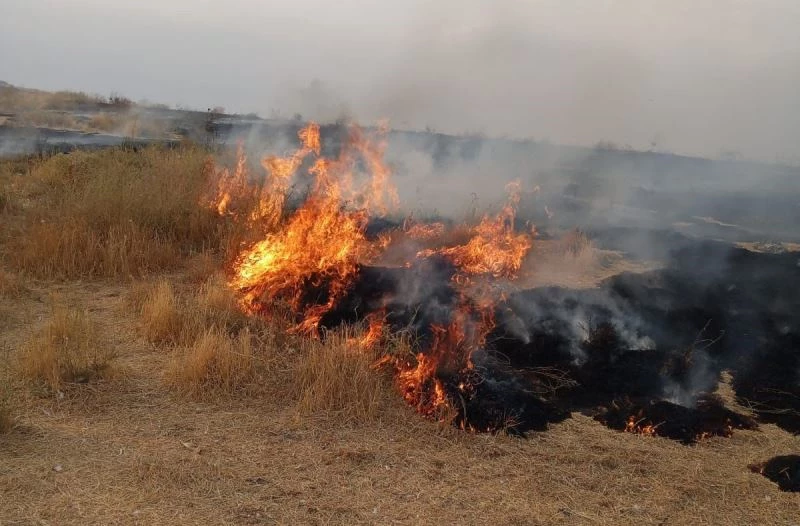 Adır Adası’ndaki yangın bugün tekrar başladı
