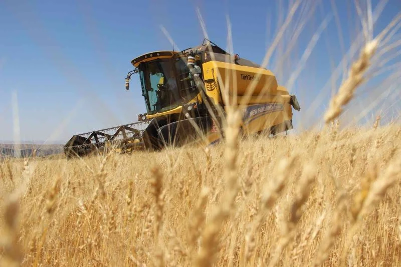 TMO, Sivas’ta Cumhuriyet tarihinin en yüksek alımını yaptı
