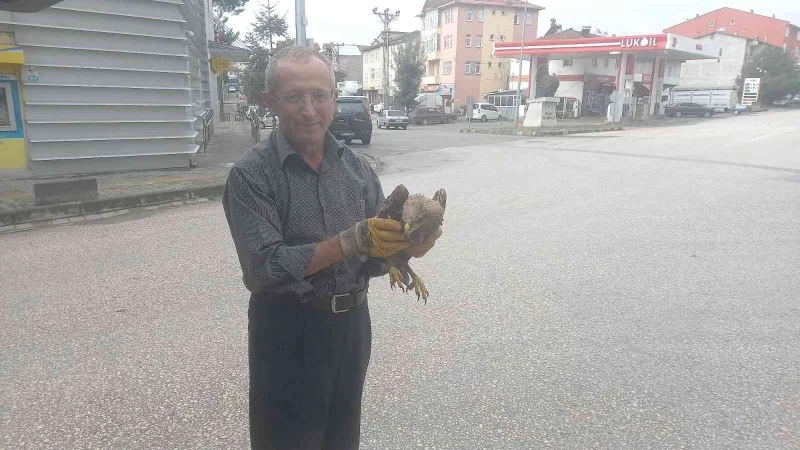 Yaralı şahin, yolcu servisiyle DKMP ekiplerine gönderildi
