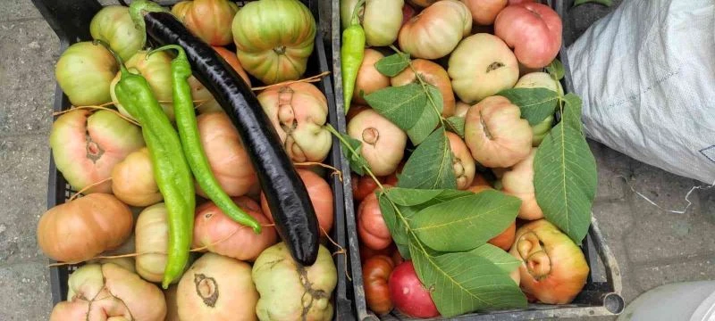 Ağırlığı bir kiloyu aşan dev Sason domatesi tezgahlarda yerini aldı
