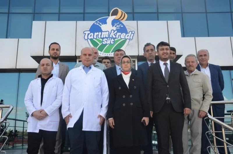 Ankara Milletvekili Lütfiye Selva Çam Başkan Alp’i ziyaret etti
