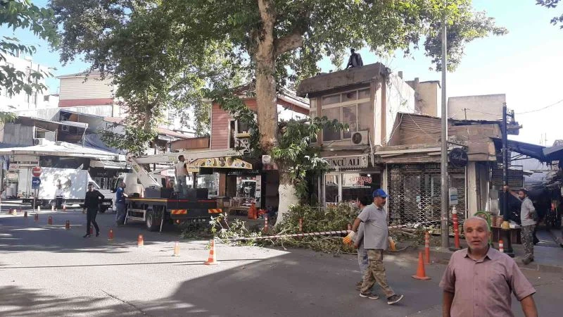 Ağaç işyerinin üzerine düştü
