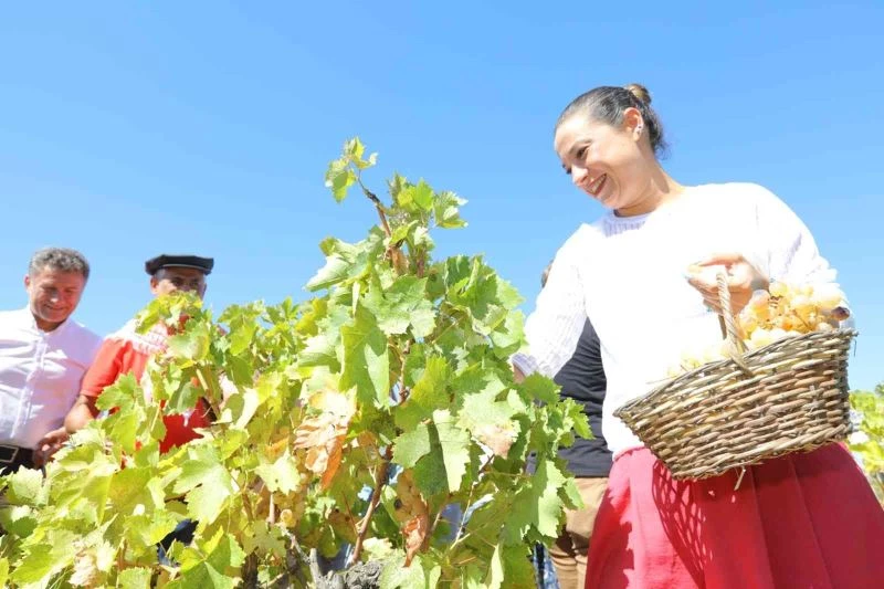 Gökçealan, Osmancık üzümü ile şenlendi
