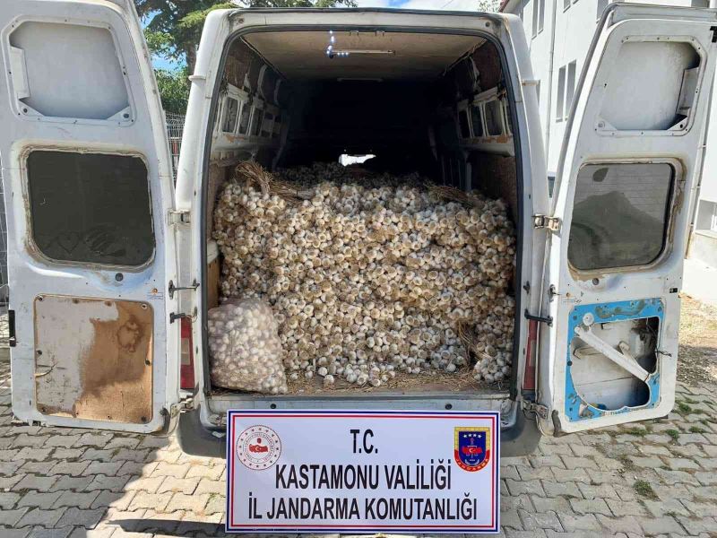 1,5 ton sarımsak çalan 3 hırsız, jandarma ekiplerinden kaçamadı
