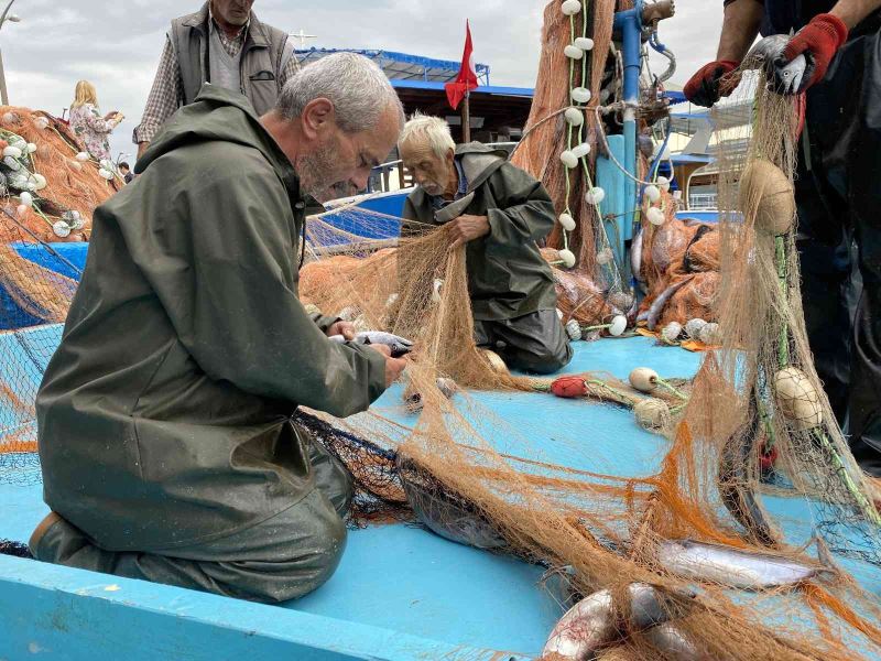 Amasralı balıkçıların ağları palamutla doldu
