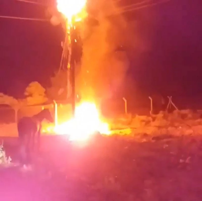 Elektrik tellerinden çıkan kıvılcımlar leylek yuvasını yaktı
