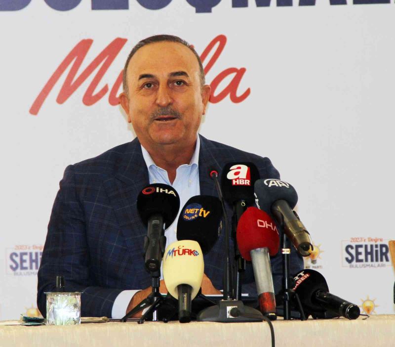 Dışişleri Bakanı Mevlüt Çavuşoğlu;
